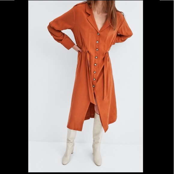 Zara Dress - Picture 5 of 12